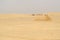 Destroyed Berber buildings in the northern Sahara Desert, Tunisia