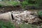 Destroyed bridge after flooding