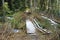 Destroyed bridge on a hiking trail in a dense forest