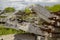 The destroyed building against the background of the sky and greenery. Cataclysm and destruction. Technological disaster. Calamity