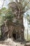 Destroyed covered with roots of trees temple Prasat Chrap in the Koh Ker temple complex, Siem Reap, Cambodia