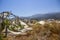 Destroyed greenhouses with bananas. Crete, Greece