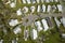 Destroyed by hurricane Ian suburban houses in Florida mobile home residential area. Consequences of natural disaster