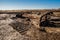 Destroyed infantry fighting vehicle