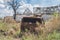 Destroyed military truck in the countryside