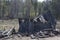 Destroyed outbuilding stands near the forest