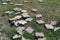 Destroyed paving slabs on the lawn after a wave of protests, the main weapon of the riot instigators