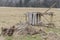 Destroyed raised hide on a meadow in the winter