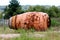 Destroyed rusted with multiple holes cement mixer truck drum taken off truck and discarded in nature surrounded with high uncut