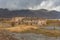 Destroyed Stalin`s station on the background of the mountains in the city of Kirovsk, Murmansk region, Russia