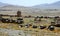 Destroyed tanks and armored vehicles abandoned in a field near Ghazni in Afghanistan