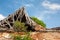 Destroyed wooden roof