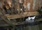 Destroyed wooden roof of a barn