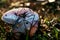 Destroying Angel Mushroom