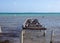 Destruction of a Pier in Belize