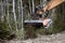 Destruction of roadside vegetation with mulching head attached to an excavator.