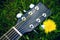 Detail of acoustic guitar on a grass. Natural background with flowers, grass and sun. Musical instrument.
