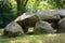 Detail of ancient Dolmen D18, called \\\