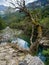 Detail of Ara river in Bujaruelo valley in Pyrenees