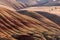 Detail of the arid, wavy and colorful landscape of Painted Hills