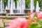 Detail of artesian fountain in a Bucharest city park Alexandru Ioan Cuza park/IOR with coral/pink roses in foreground.