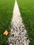Detail of artificial grass field on football playground. Detail of a line in a soccer field, yellow birch leaf. Plastic gras