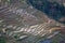 Detail at Bada village spot in Yuanyang rice terraces in Yunnan