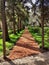 Detail of Bahai Gardens in Haifa Israel