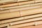 Detail of bamboo stalks