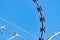 Detail of a barbed wire against blue sky