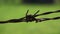 Detail of barbed wire fence, green spring background, strong, last forever network