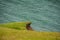 Detail of a beach in the Icelandic landscape