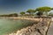 Detail of Beach in Lazise on Garda Lake 3