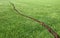 Detail of a beautiful green mowed lawn with a diagonal crack - concept image with copy space