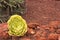 A detail of a bejeque rosette (Aeonium canariense) in La Gomera, in the Canary Islands