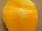 Detail of Benishan mango