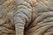 Detail of big elephant. Wildlife scene from nature. Art view on nature. Eye close-up portrait of big mammal, Etosha NP, Namibia in