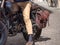 Detail of a Black Motorcycle on a City Road with Cobblestone in Italy