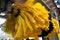 detail of black and yellow automatic car wash system cleaning fiber sponge brushes on spinning rotor in an auto service garage