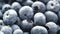 Detail of Blueberries. Macro trucking shot. 4K resolution top view. Close up