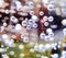 Detail of bubbles in soda water in glass