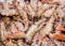 Detail of bunch of king brown prawns in fish market