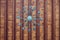 Detail of ceiling and lamp in Cantacuzino castle, Prahova county