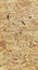 Detail of Chipboard or Oriented Strand Board Background