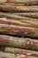 Detail of chopped down logs heap