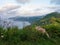 Detail of the coast of Bizkaia with a goat in the foreground.