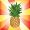 Detail colorful vector illustration of ripe pineapple