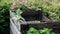 Detail of composter with organic waste from pallets in garden