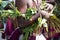 Detail of costume dancer on Sepik River, Papua New Guinea