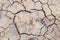 Detail of a cracked earth, crack earth, crack soil , global warming
